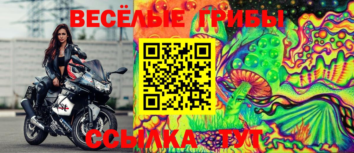 Псилоцибиновые грибы прущие грибы Черкесск