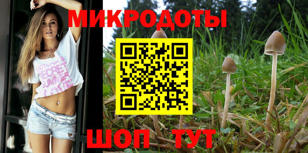 Черкесск  Псилоцибиновые грибы мухоморы  Вход с VPN 